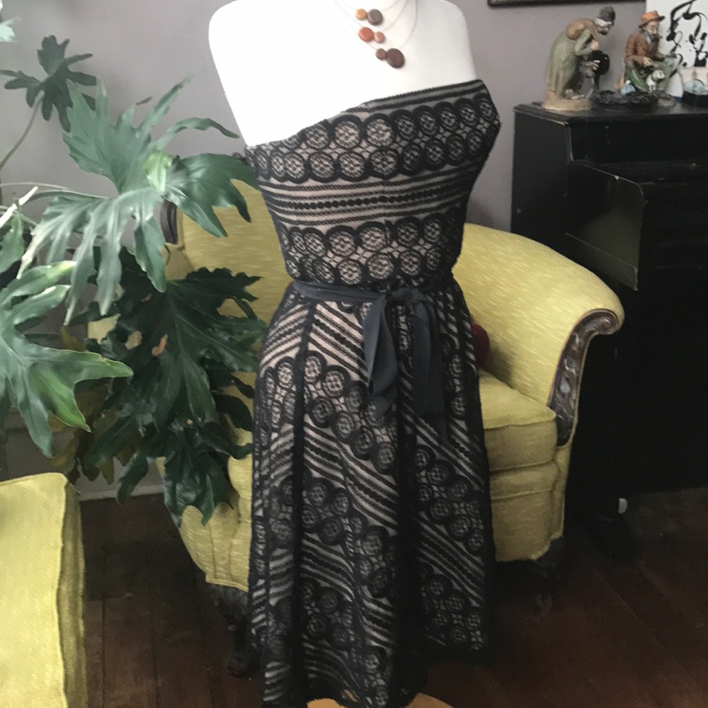 Anna Taylor LOFT 4P Strapless Lace Dress